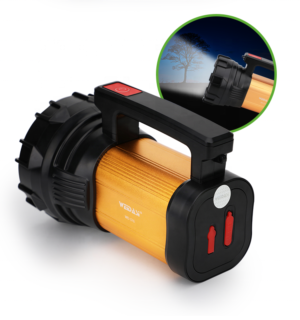 ATEX portable light